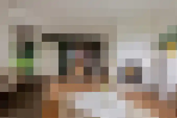 Kanaeldyk 25 De Veenhoop thumbnail 25