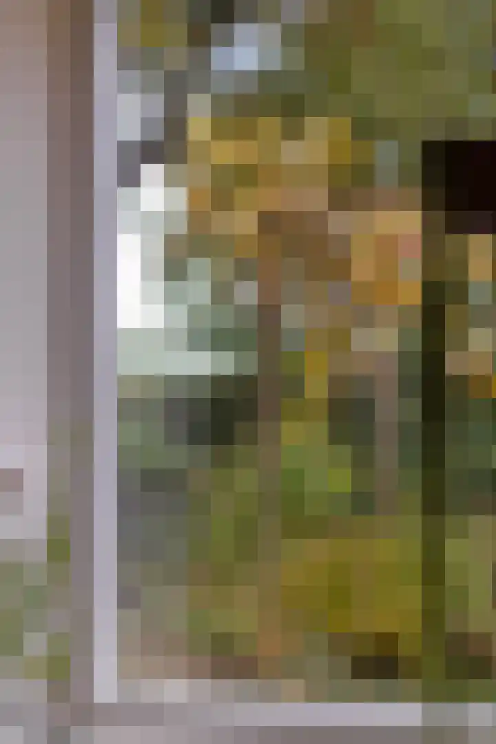 Kanaeldyk 25 De Veenhoop thumbnail 26