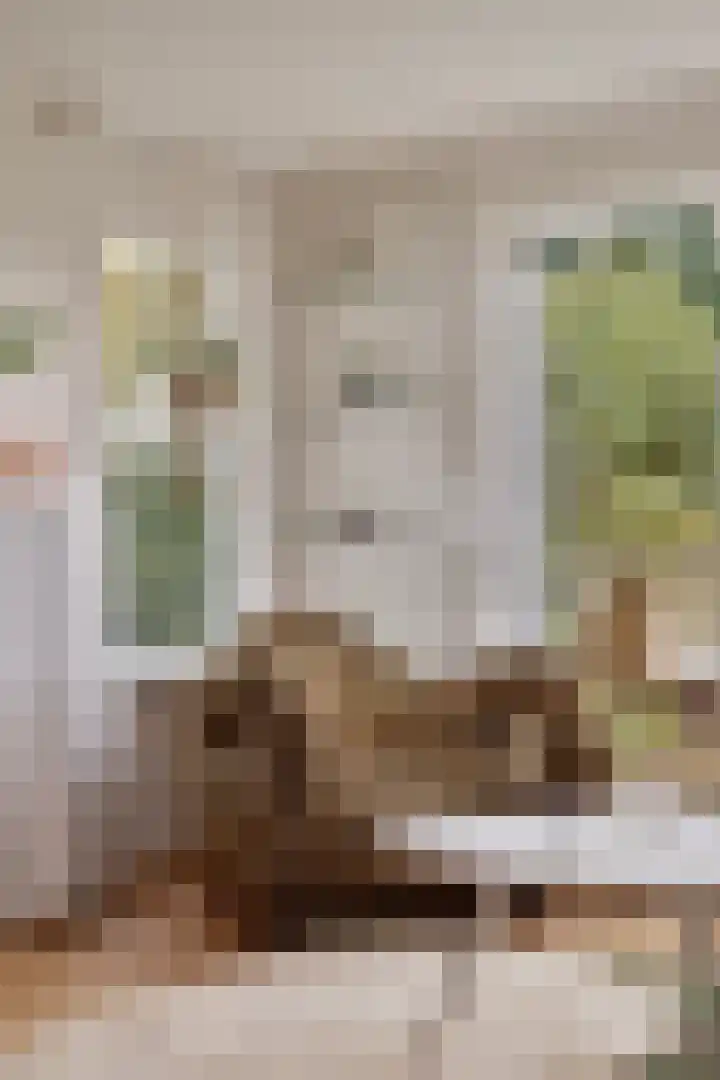 Kanaeldyk 25 De Veenhoop thumbnail 27