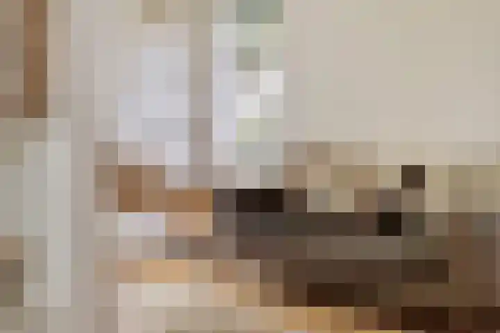 Kanaeldyk 25 De Veenhoop thumbnail 29