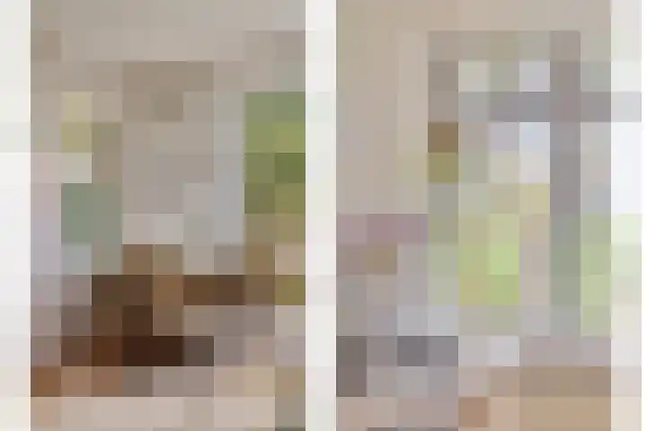 Kanaeldyk 25 De Veenhoop thumbnail 31