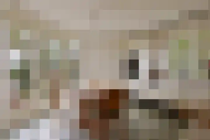 Kanaeldyk 25 De Veenhoop thumbnail 33