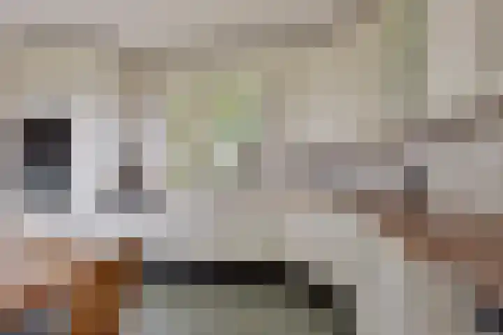 Kanaeldyk 25 De Veenhoop thumbnail 34