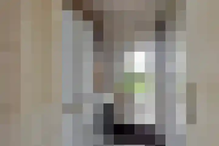 Kanaeldyk 25 De Veenhoop thumbnail 36