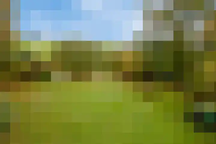 Kanaeldyk 25 De Veenhoop thumbnail 4