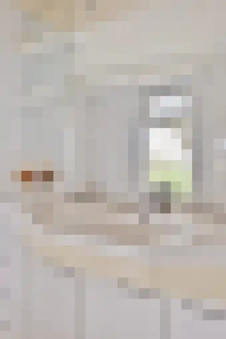 Kanaeldyk 25 De Veenhoop thumbnail 40