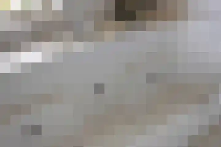Kanaeldyk 25 De Veenhoop thumbnail 42