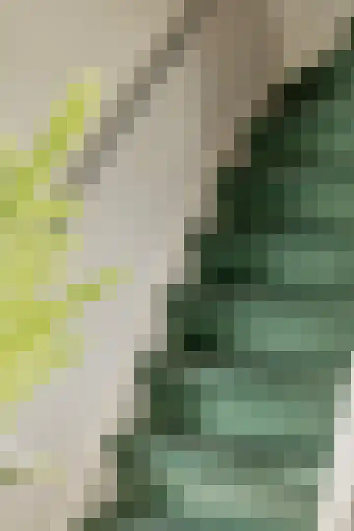 Kanaeldyk 25 De Veenhoop thumbnail 46
