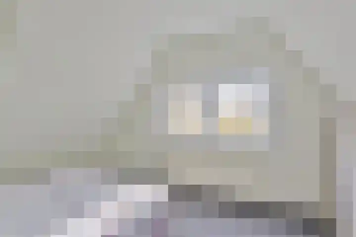Kanaeldyk 25 De Veenhoop thumbnail 48