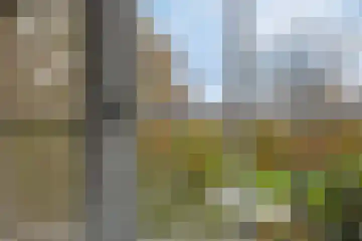 Kanaeldyk 25 De Veenhoop thumbnail 49