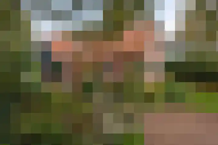 Kanaeldyk 25 De Veenhoop thumbnail 5