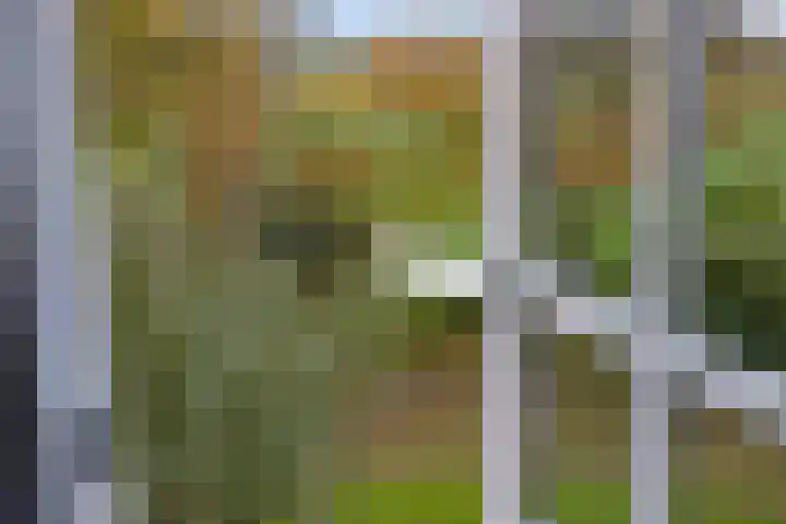 Kanaeldyk 25 De Veenhoop thumbnail 50