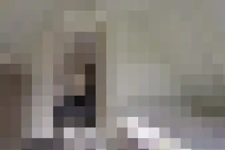 Kanaeldyk 25 De Veenhoop thumbnail 51