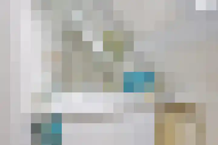 Kanaeldyk 25 De Veenhoop thumbnail 53