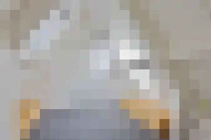 Kanaeldyk 25 De Veenhoop thumbnail 55