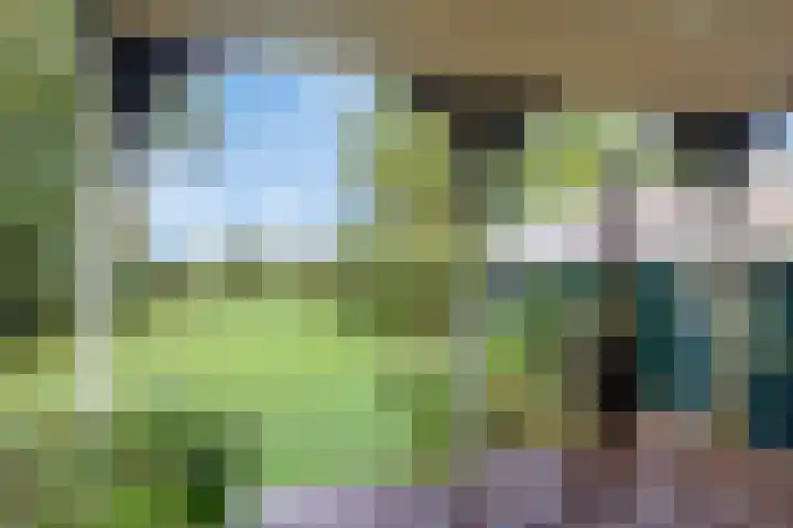 Kanaeldyk 25 De Veenhoop thumbnail 59