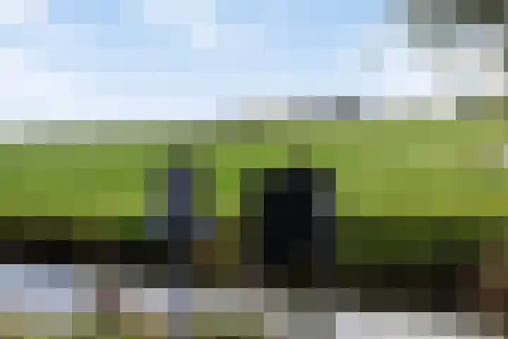 Kanaeldyk 25 De Veenhoop thumbnail 6