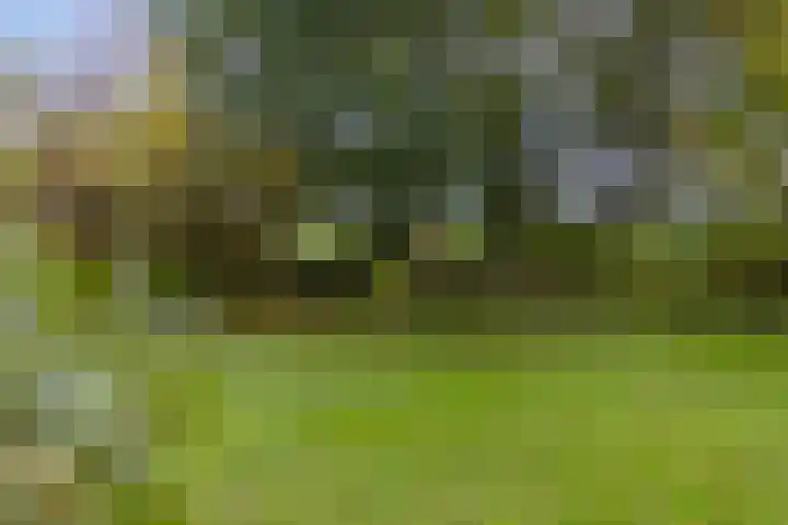 Kanaeldyk 25 De Veenhoop thumbnail 61