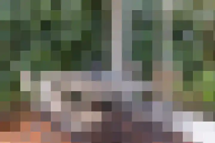 Kanaeldyk 25 De Veenhoop thumbnail 65