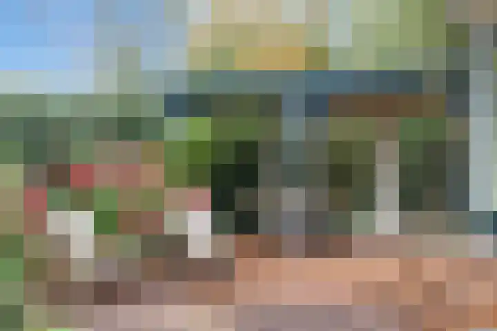 Kanaeldyk 25 De Veenhoop thumbnail 66