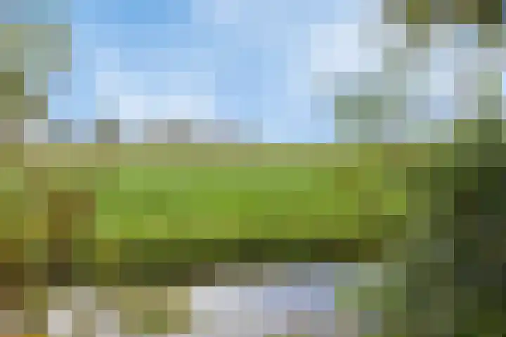 Kanaeldyk 25 De Veenhoop thumbnail 69