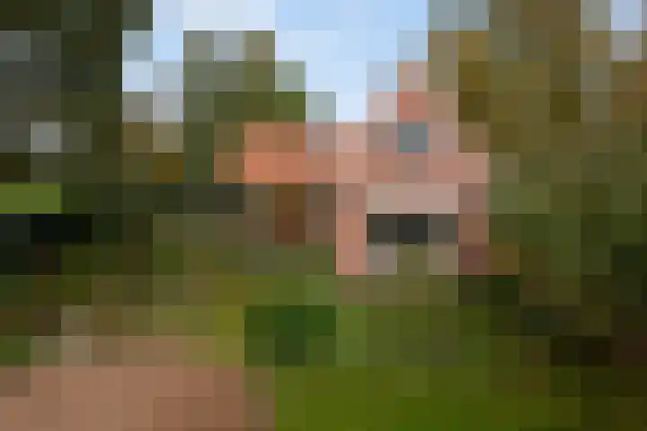 Kanaeldyk 25 De Veenhoop thumbnail 7