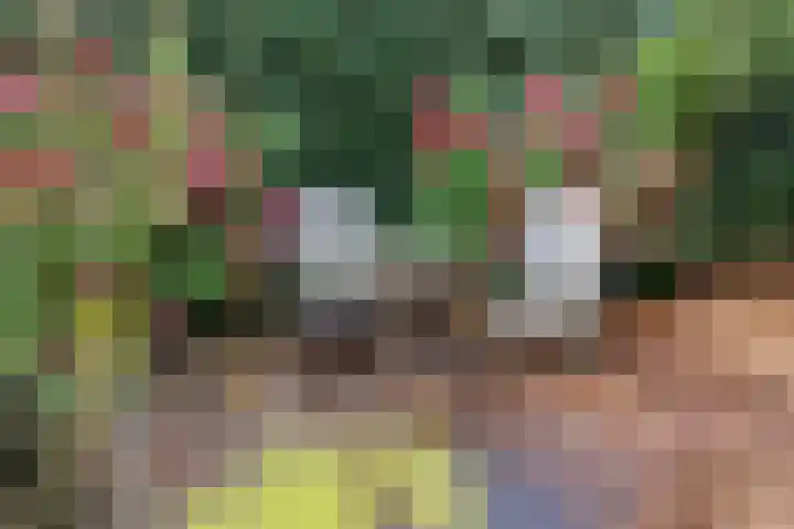 Kanaeldyk 25 De Veenhoop thumbnail 70