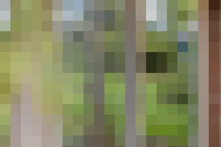 Kanaeldyk 25 De Veenhoop thumbnail 71