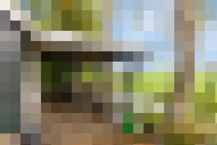 Kanaeldyk 25 De Veenhoop thumbnail 73