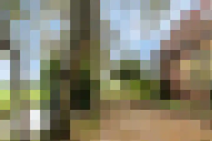 Kanaeldyk 25 De Veenhoop thumbnail 74