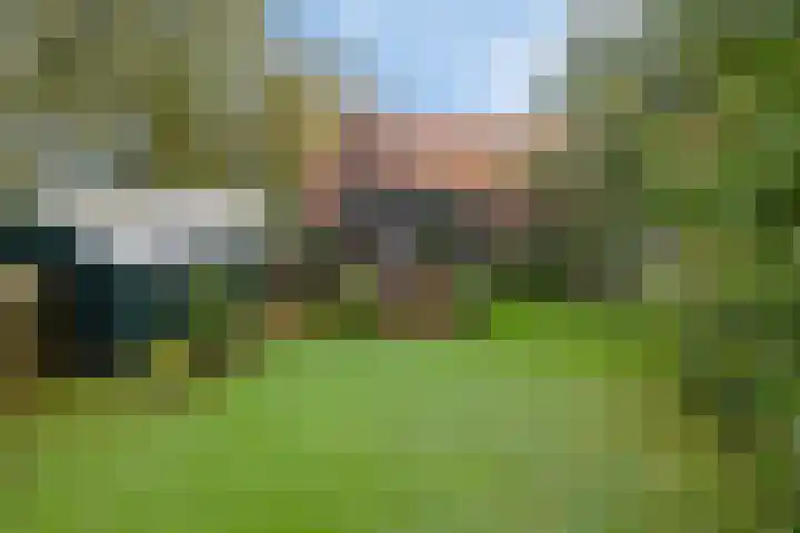 Kanaeldyk 25 De Veenhoop thumbnail 75