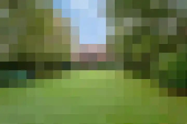 Kanaeldyk 25 De Veenhoop thumbnail 76