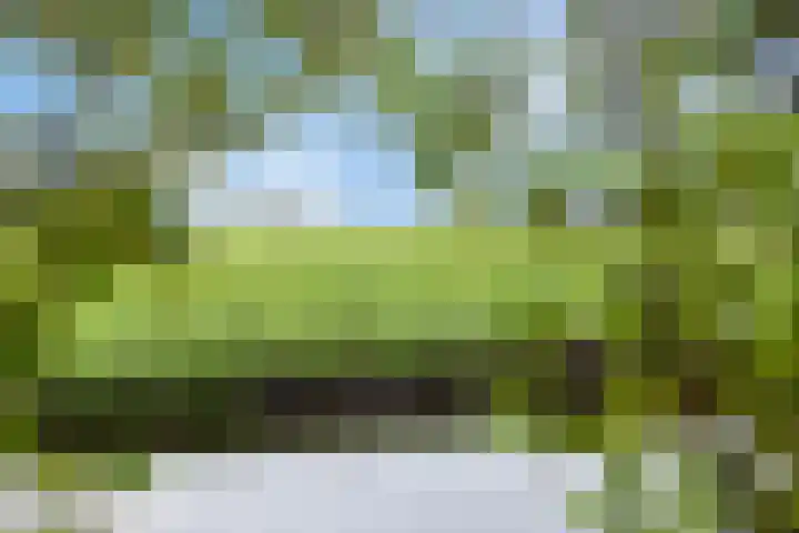 Kanaeldyk 25 De Veenhoop thumbnail 77