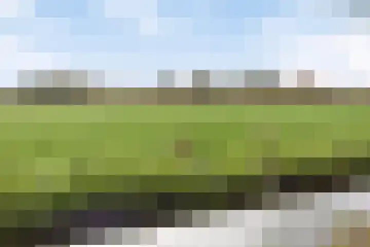 Kanaeldyk 25 De Veenhoop thumbnail 78