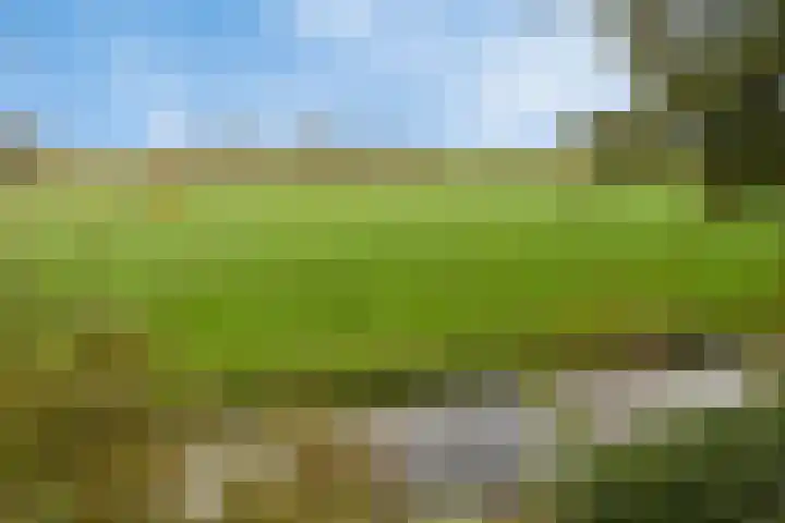 Kanaeldyk 25 De Veenhoop thumbnail 79