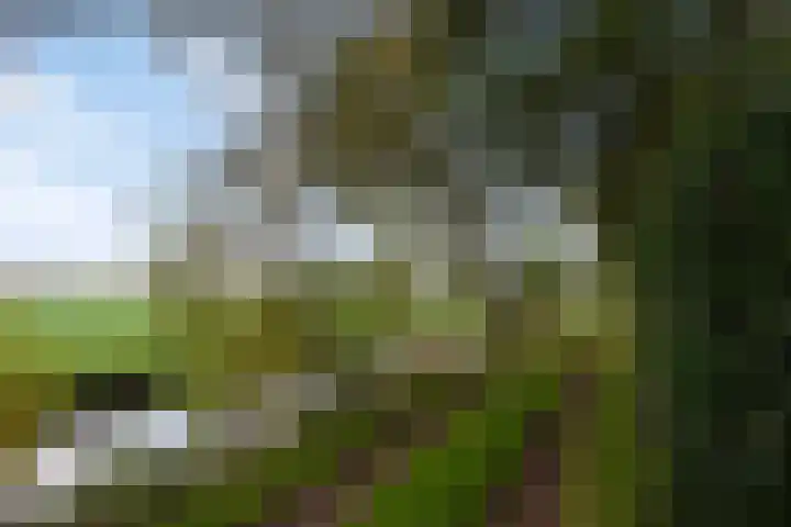 Kanaeldyk 25 De Veenhoop thumbnail 9