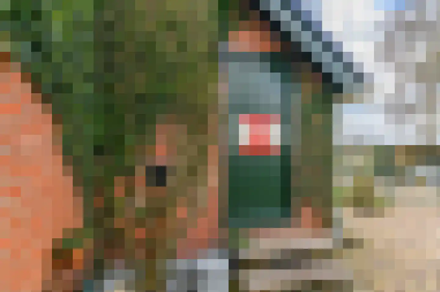 Kanaeldyk 41 De Veenhoop thumbnail 11