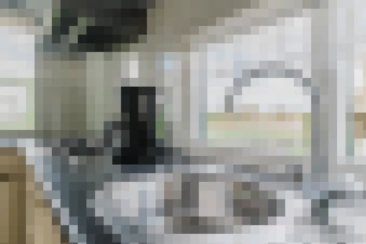 Kanaeldyk 41 De Veenhoop thumbnail 20