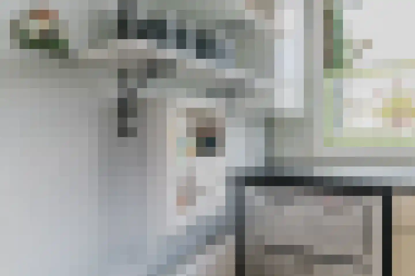 Kanaeldyk 41 De Veenhoop thumbnail 21
