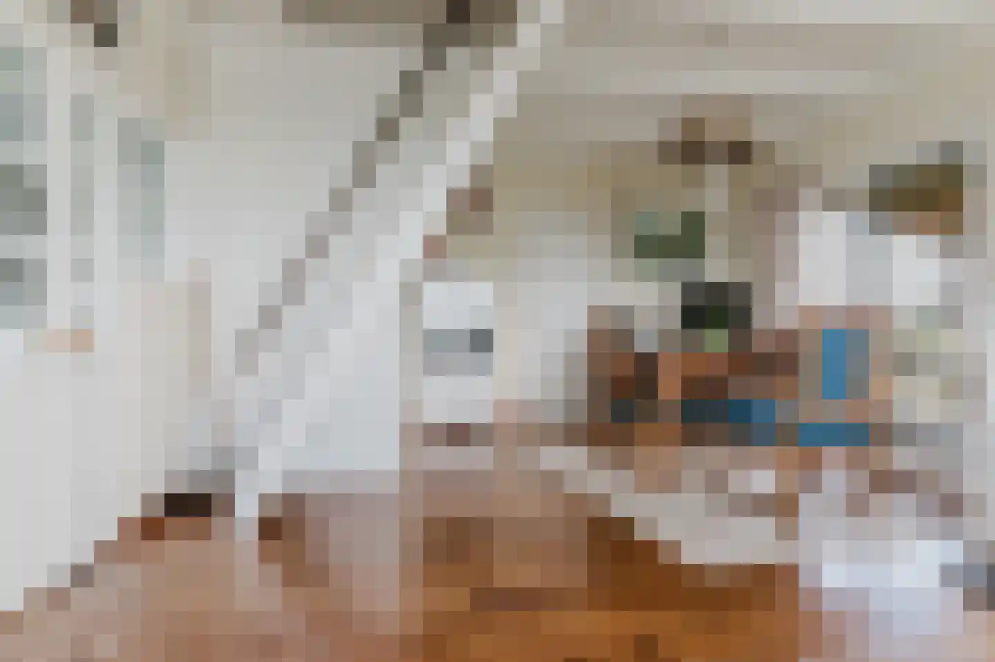 Kanaeldyk 41 De Veenhoop thumbnail 27