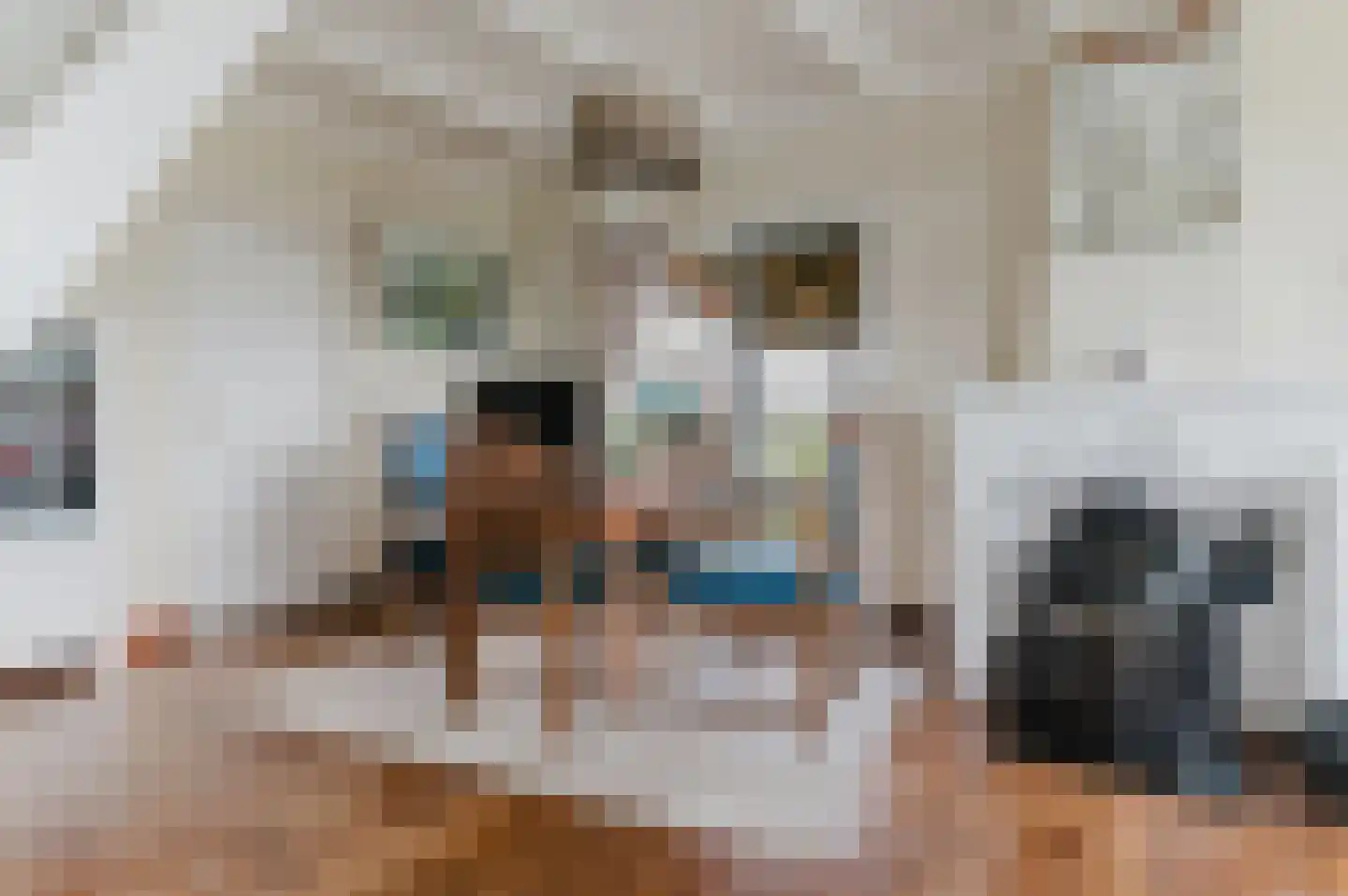 Kanaeldyk 41 De Veenhoop thumbnail 28