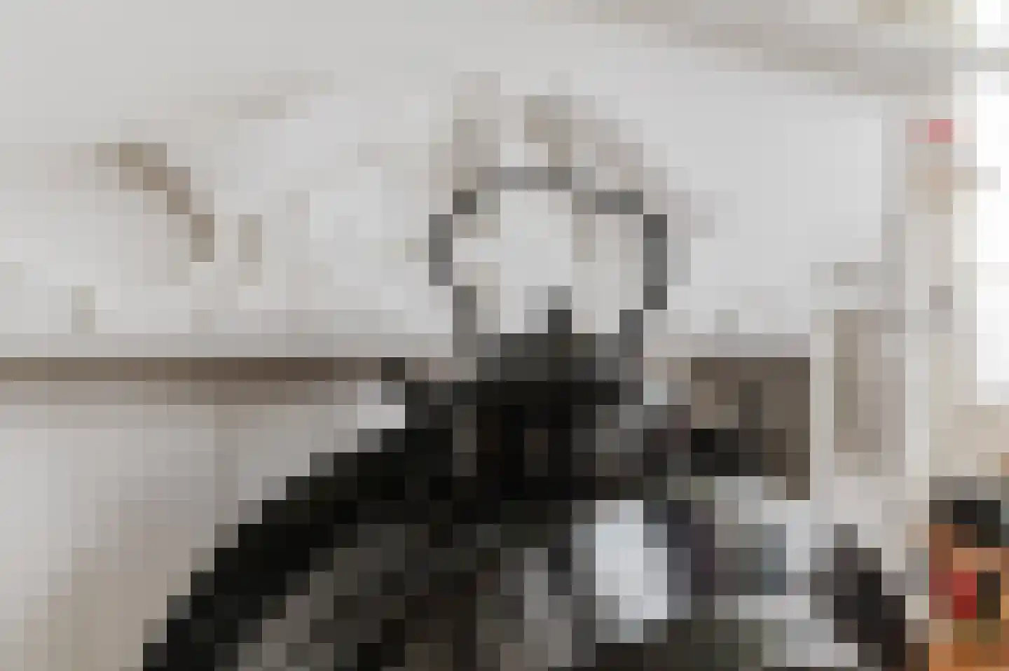 Kanaeldyk 41 De Veenhoop thumbnail 30