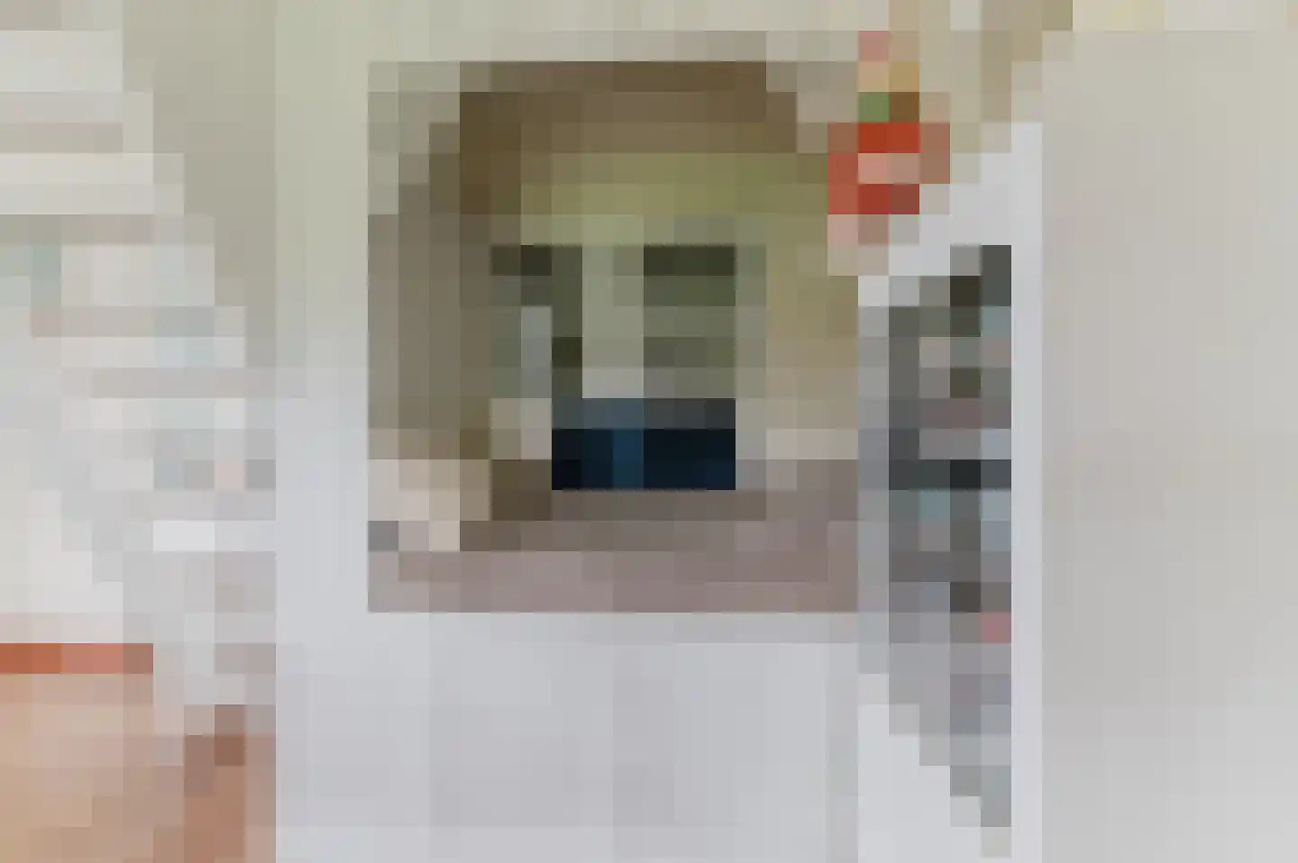Kanaeldyk 41 De Veenhoop thumbnail 31