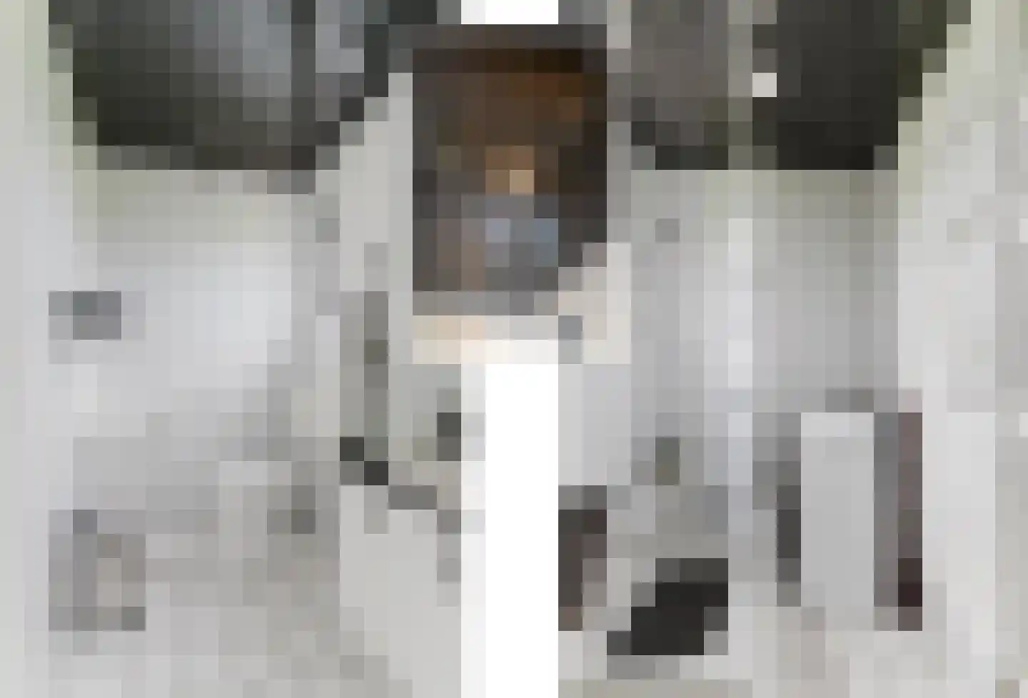 Kanaeldyk 41 De Veenhoop thumbnail 34