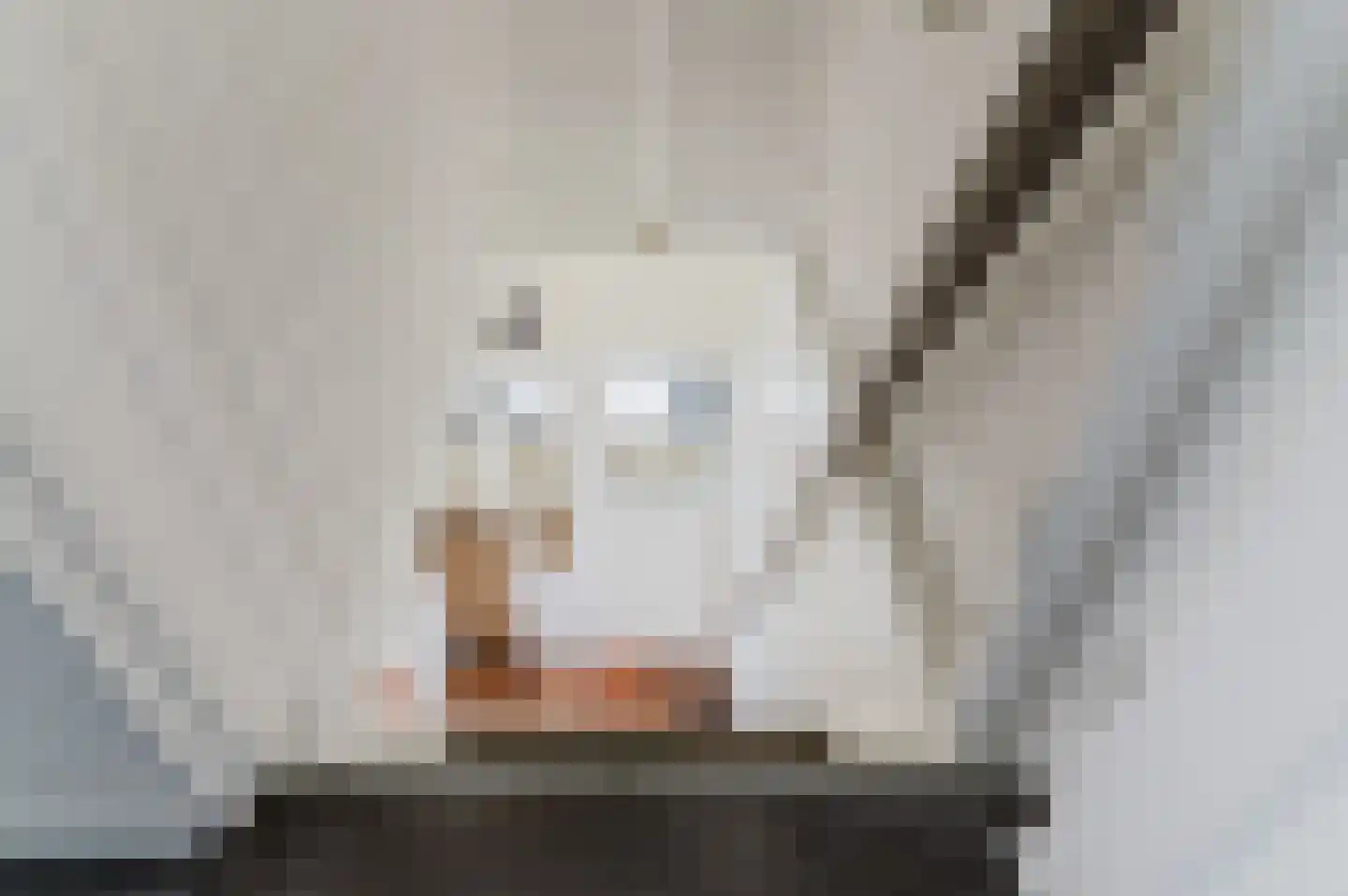 Kanaeldyk 41 De Veenhoop thumbnail 36