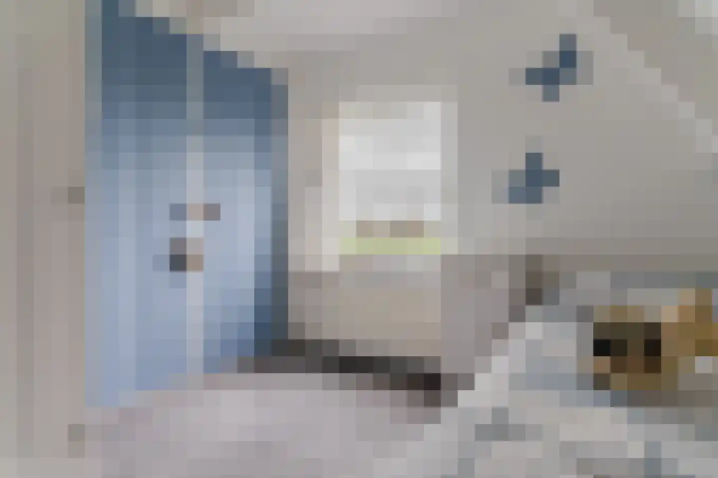 Kanaeldyk 41 De Veenhoop thumbnail 38