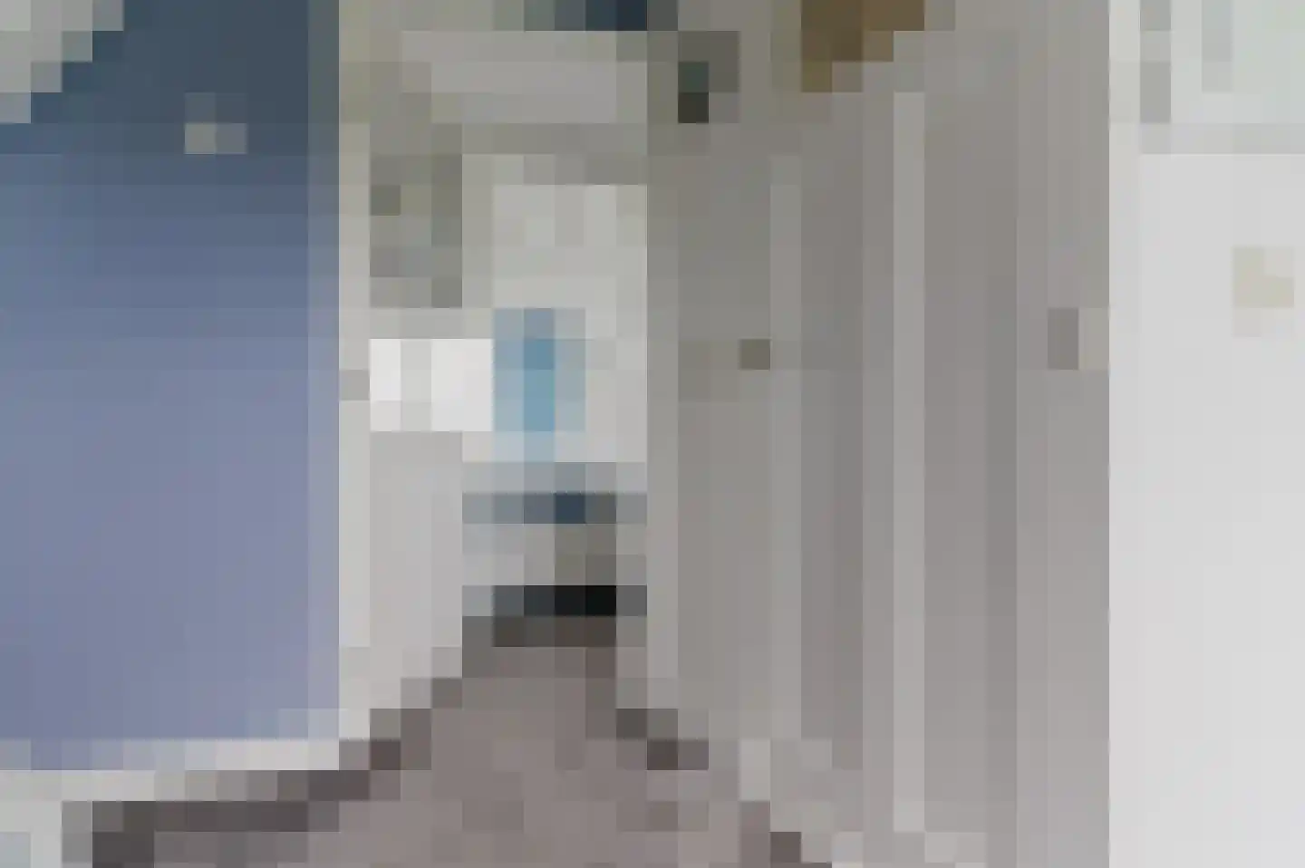 Kanaeldyk 41 De Veenhoop thumbnail 39
