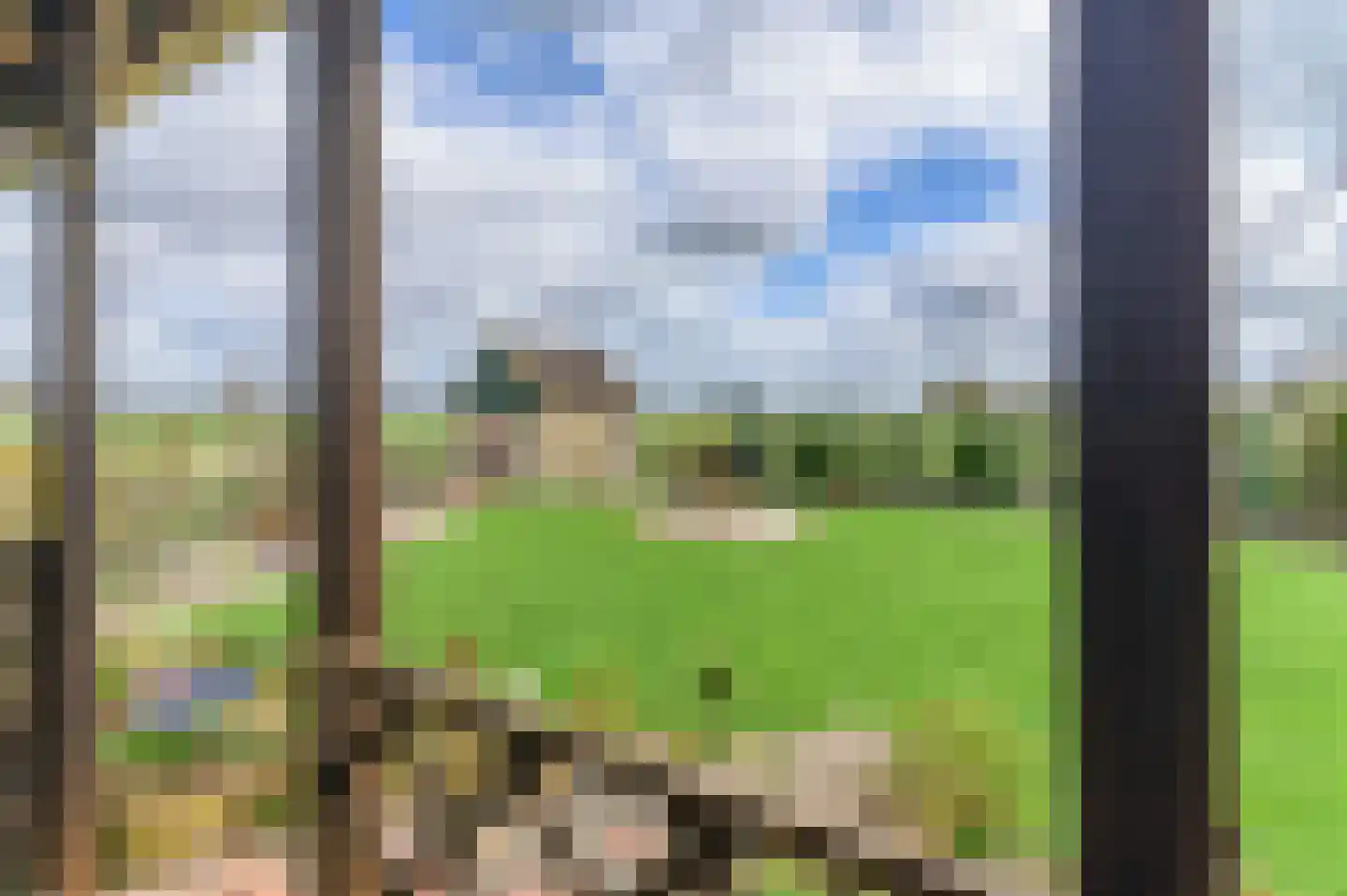 Kanaeldyk 41 De Veenhoop thumbnail 4