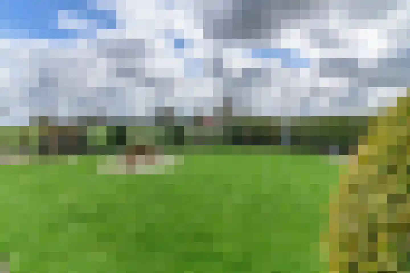 Kanaeldyk 41 De Veenhoop thumbnail 46