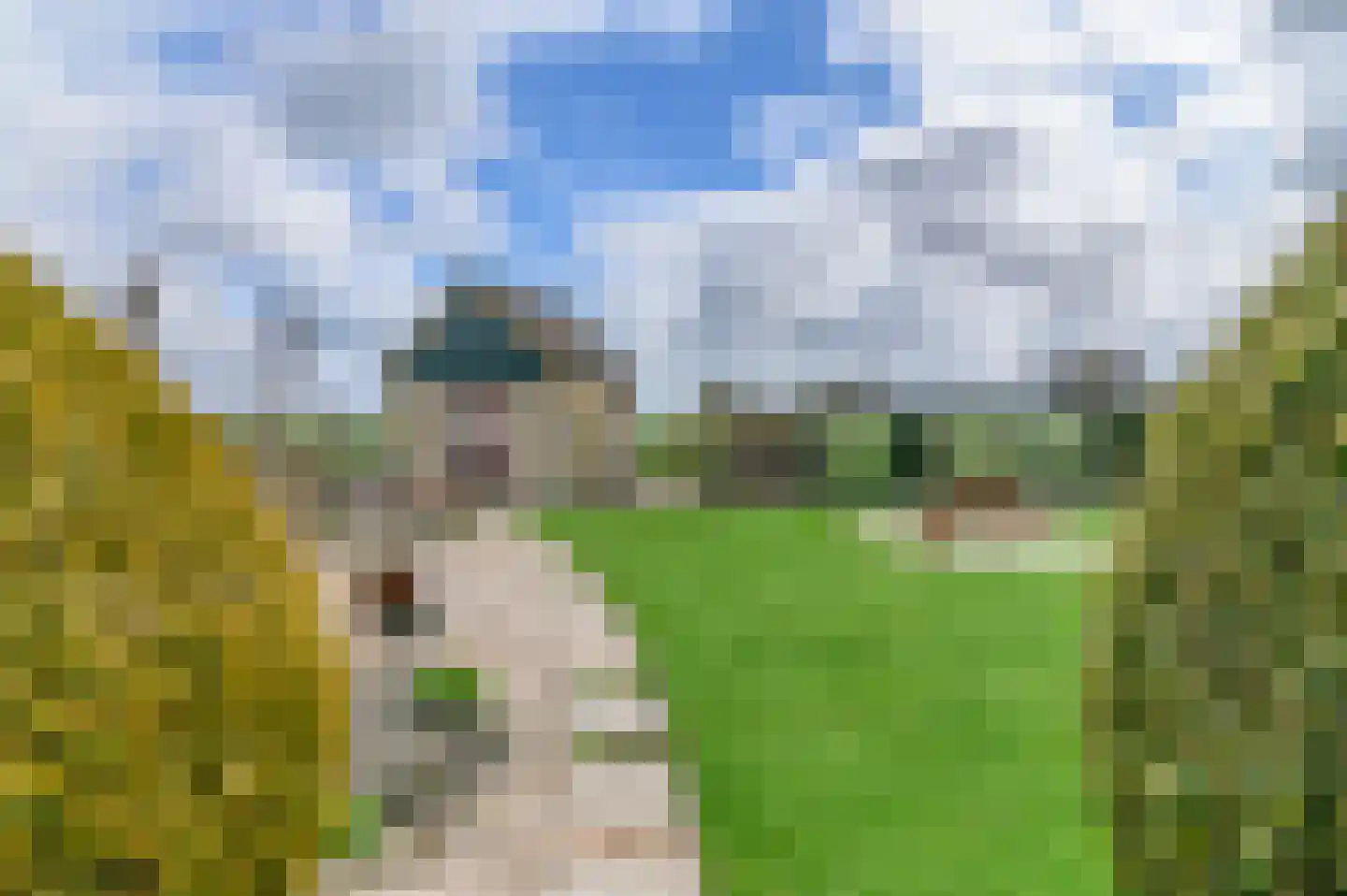 Kanaeldyk 41 De Veenhoop thumbnail 47